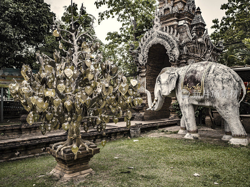 在泰国清迈Wat Lok Molee有树和大象雕塑